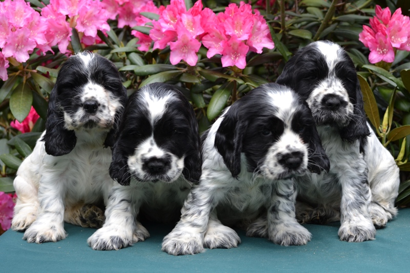 21-Habi, Hart, Hanny, Haidi.JPG